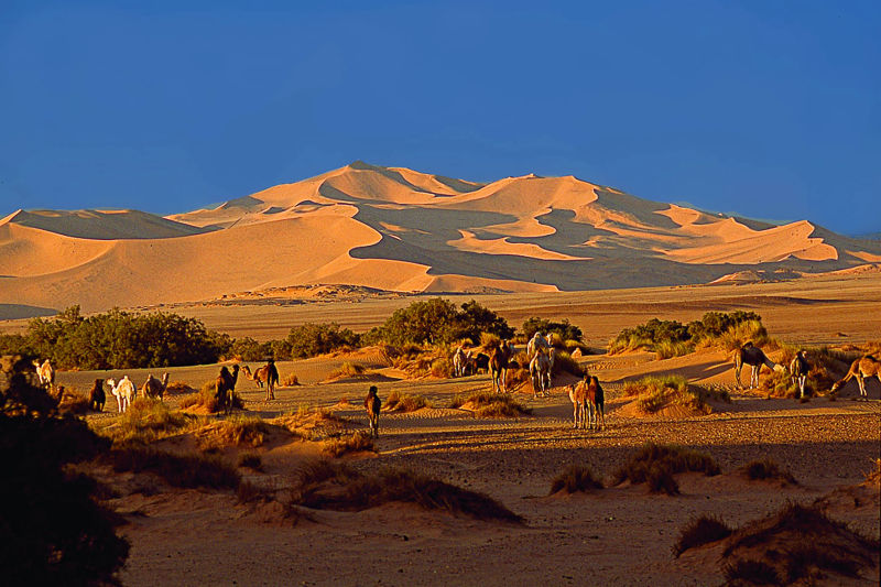 Les dunes de Merzouga - Photo © Mario Introia