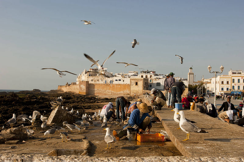 Essaouira - Photo © Mario Introia