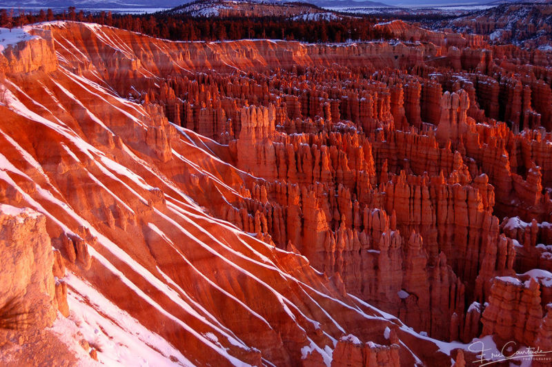 Bryce Canyon National Park - Utah - USA